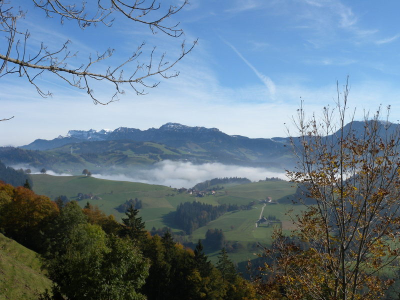 Landscape during the Hike