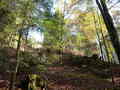 #5: View to the East