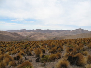 #1: View of the Confluence from 20 meters to the south - looking northwest