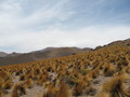 #2: At the Confluence - looking north