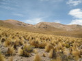 #3: At the Confluence - looking east