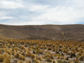 #4: At the Confluence - looking south