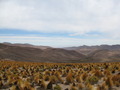 #5: At the Confluence - looking west