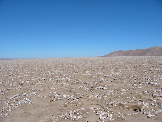 South