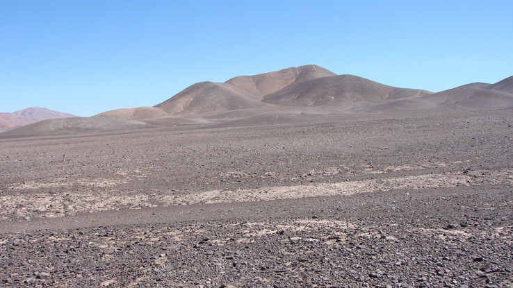 Looking North