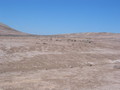 #8: View to the West