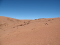 #3: At the Confluence - Looking east