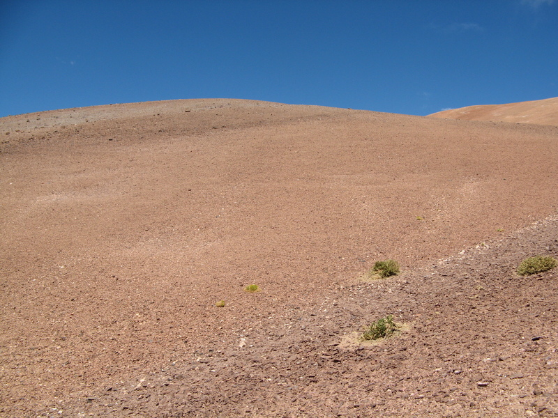 View to the East from the Confluence