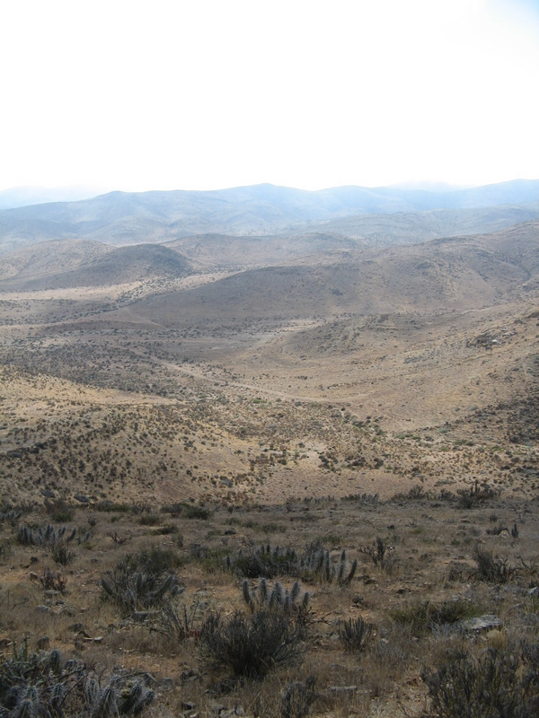 View to the East from the Confluence