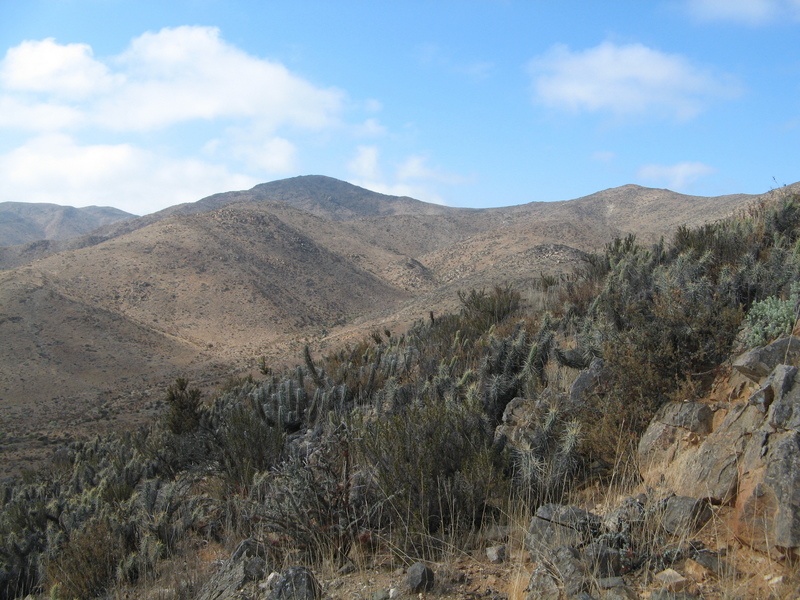 View to the South from the Confluence