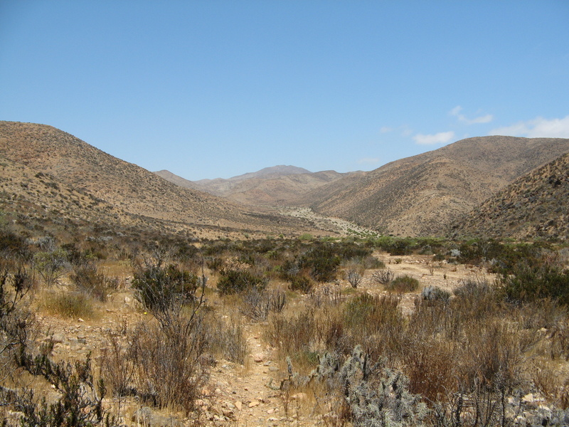 View down Quebrada La Higuera between the Confluence and Carrizal Bajo