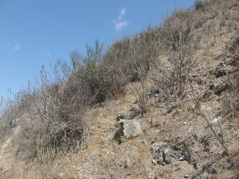 Blick nach Westen - View west