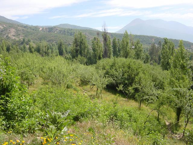 General view of the confluence area