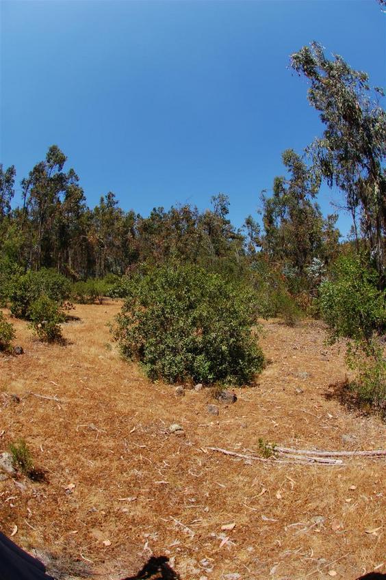 View from point, facing north