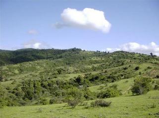 #1: Beautiful hills at the confluence.  Glad its not in the brush!