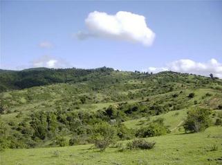 #1: Beautiful hills at the confluence.  Glad its not in the brush!