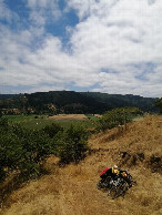 #3: My bicycle