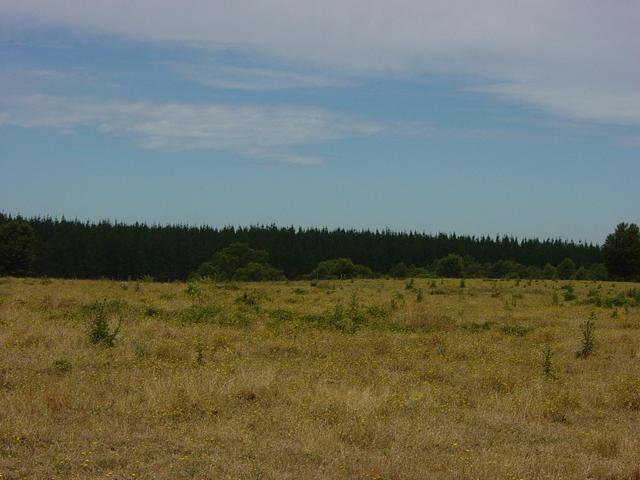 Facing west