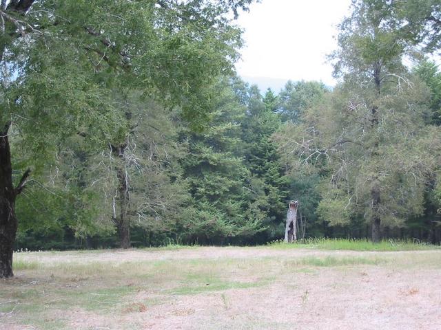 Looking S to the confluence