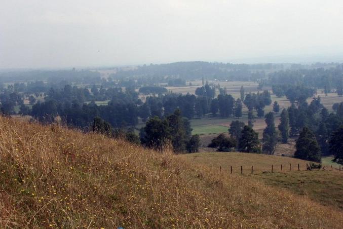 View looking west from the confluence