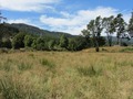 #4: North