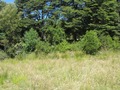 #5: East