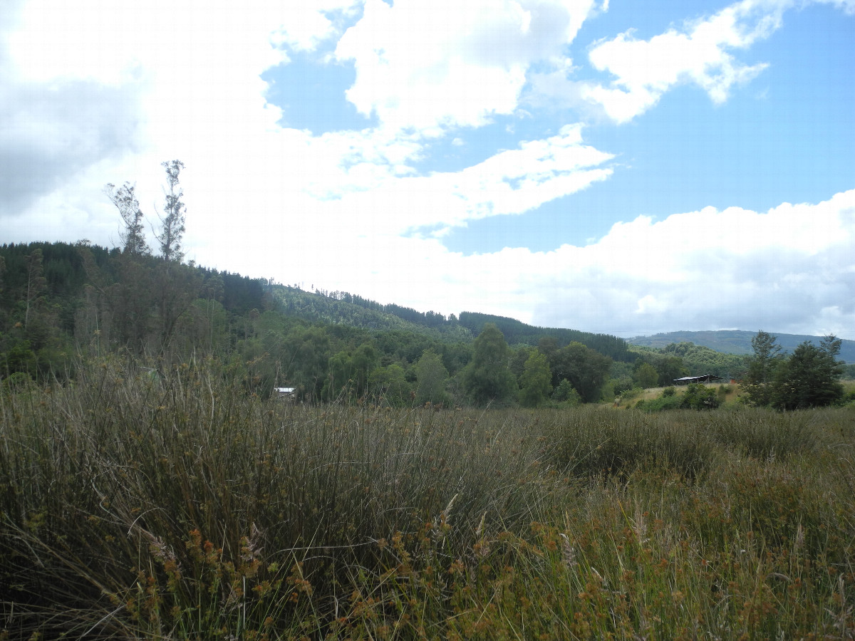 View to the north