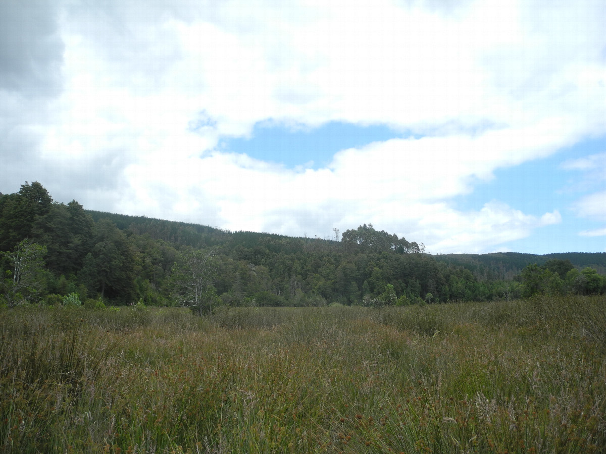 View to the south