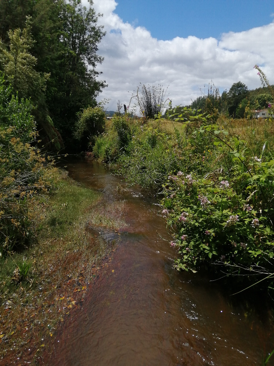 A small but deep stream