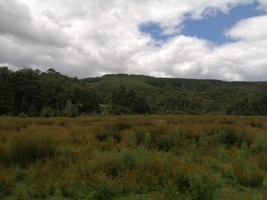 #1: General view
