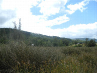 #2: View to the north