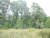 #3: View to the east