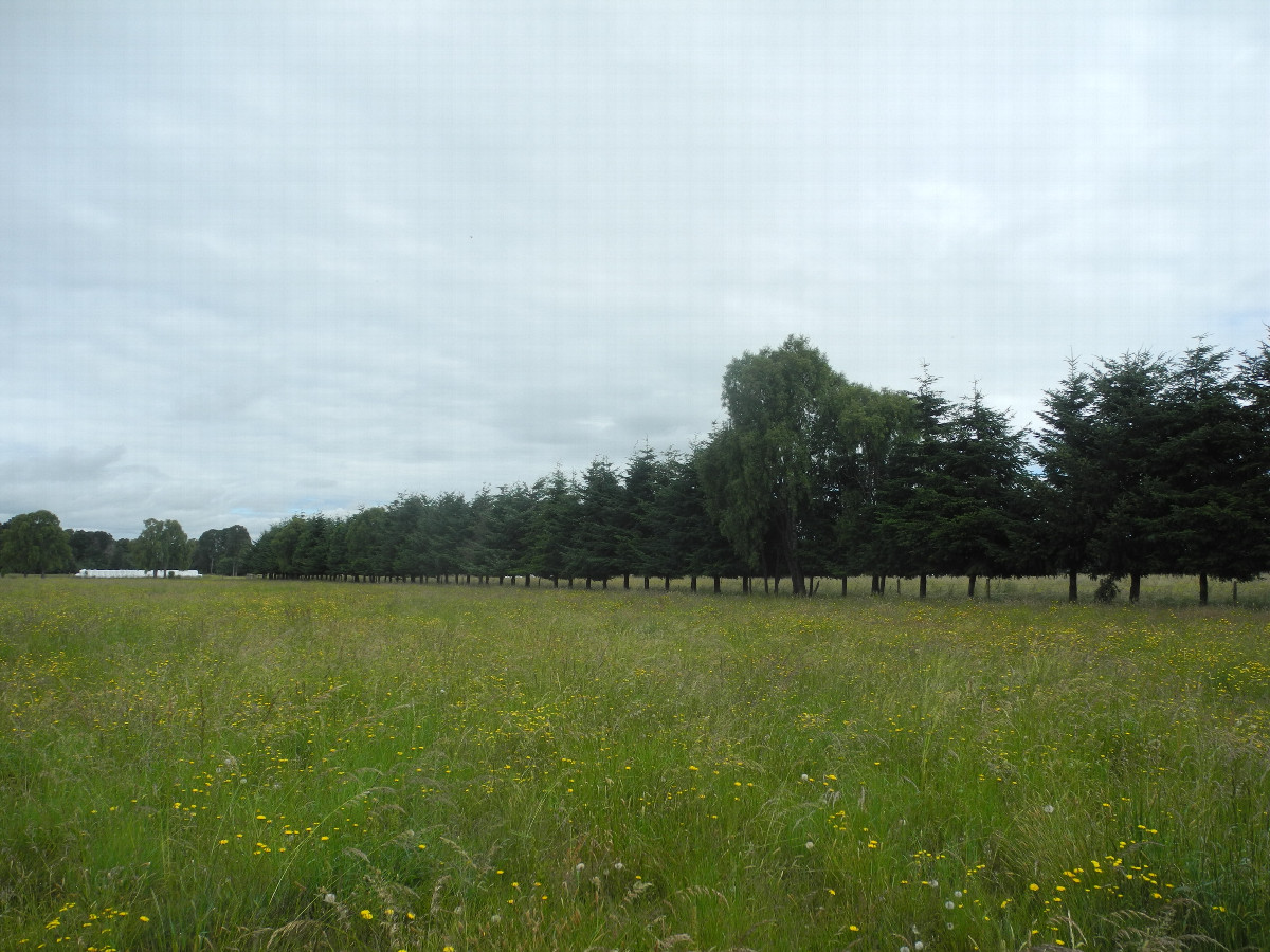 General view