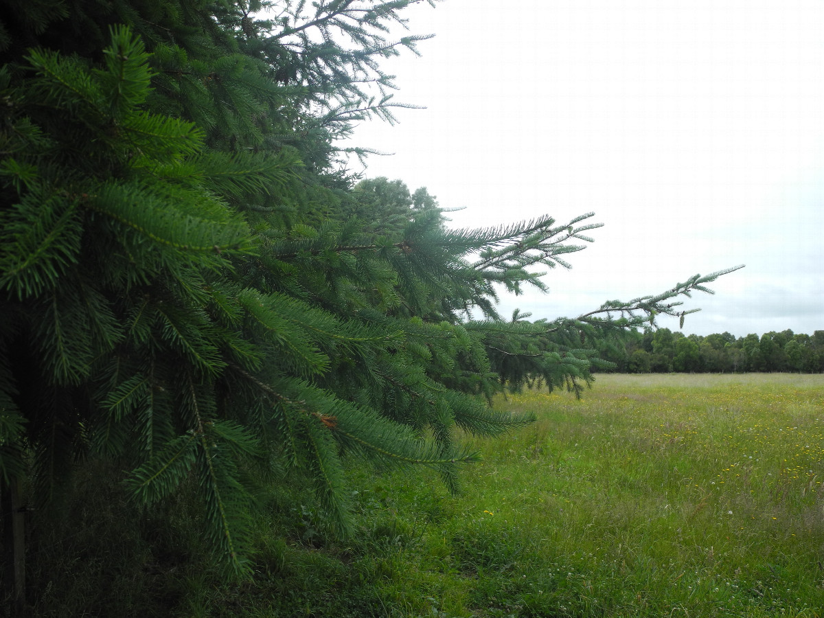 View to the east
