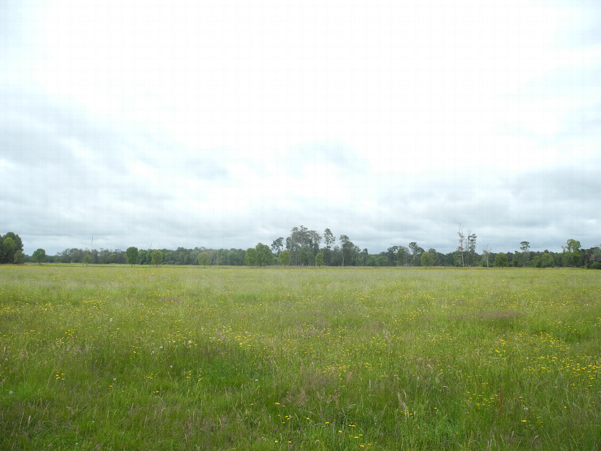 View to the south