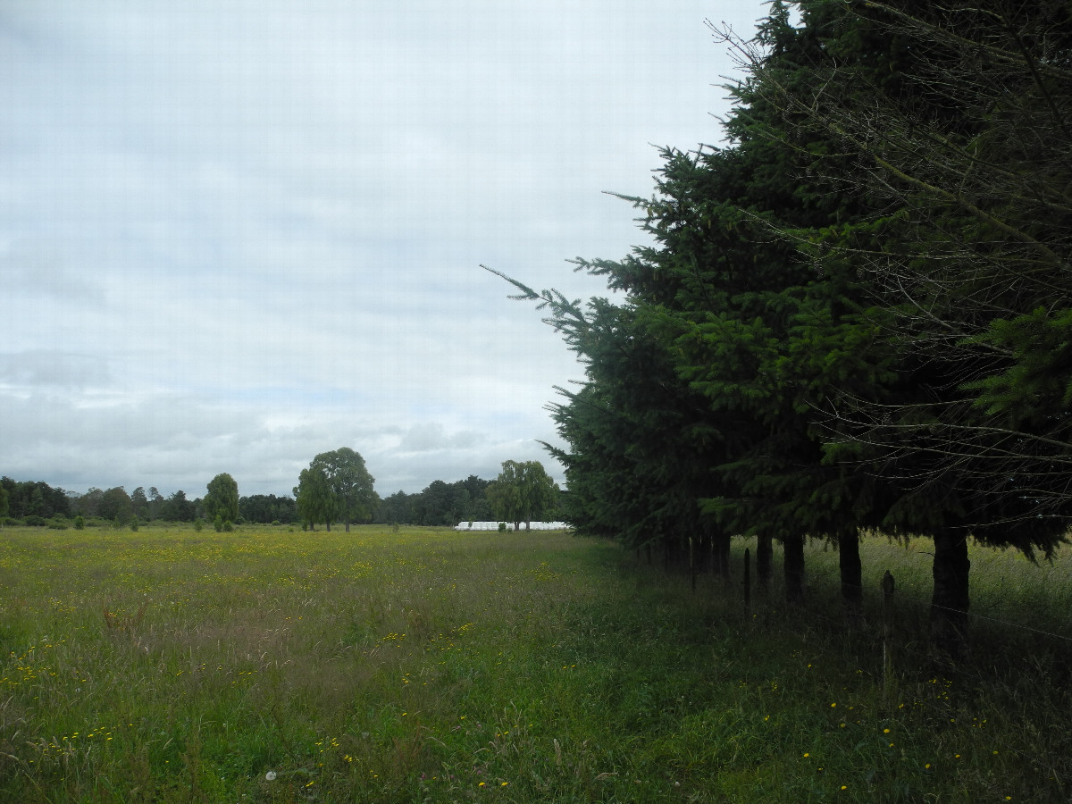View to the west