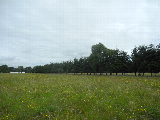 #1: General view
