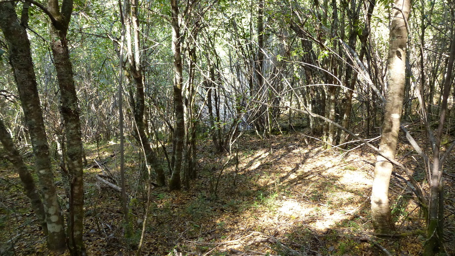 View from the Confluence towards the South