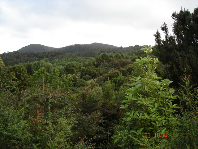 Vista de la zona donde se encuentra la confluencia