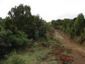 #2: Vista sur con detalle de la ruta de tierra de acceso