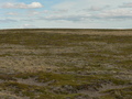 #3: Looking South
