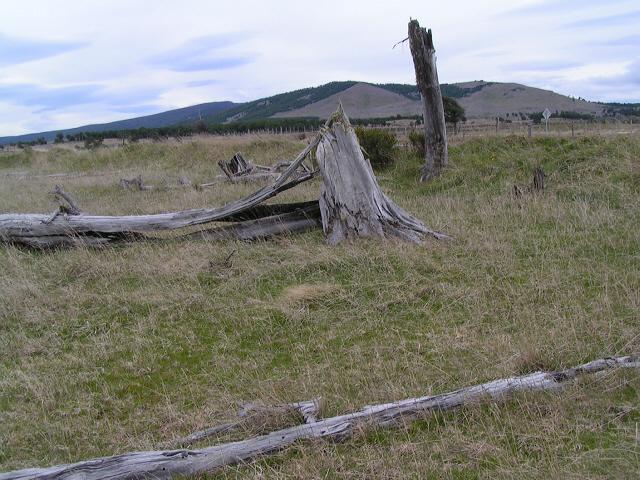 View South with the Cordon Arauco