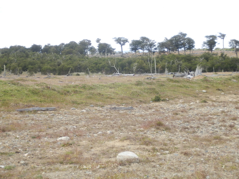 The Confluence from 40 m