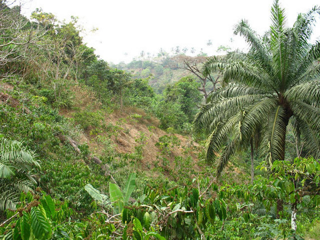 Overview of the Confluence, on the left of the picture