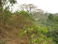 #2: From the Confluence, looking North.