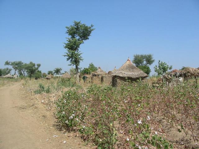 Village near the Confluence