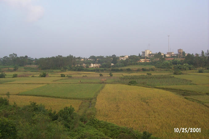 Farming and Listening to Radio Station