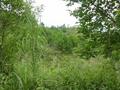 #2: View from the confluence point to the South