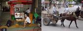 #5: Breakfast and a pony cart in Nanning