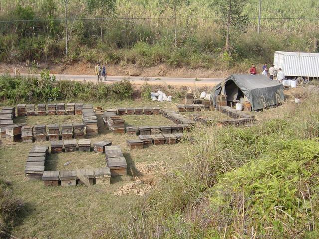 Roadside beekeeping operation, 200 metres west of the confluence